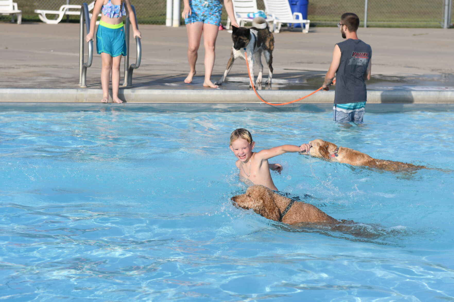 dog swim boy